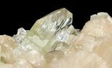 Bargain Zoned Apophyllite Crystals on Stilbite - India #44386-1